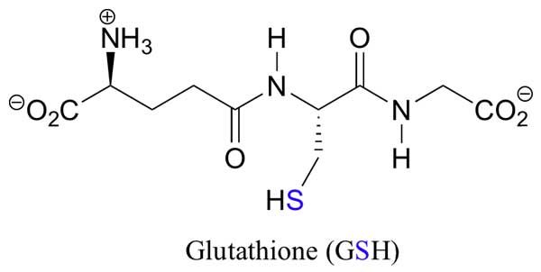 glutathione-(1)