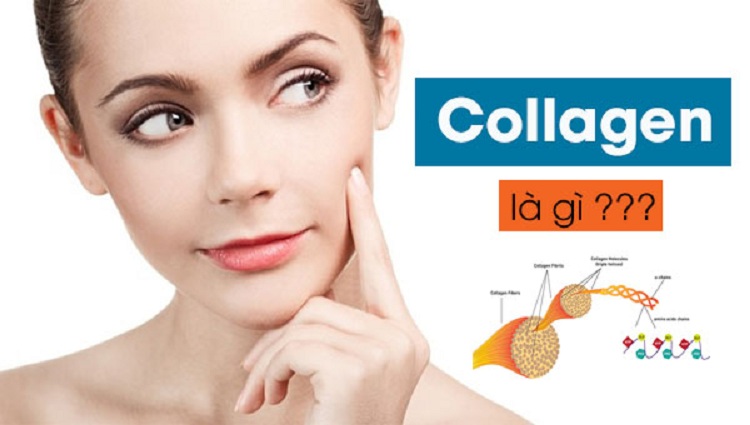 Collagen là gì?